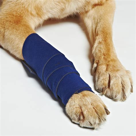 Healers Medical Leg Wraps With Gauze Pads Petco