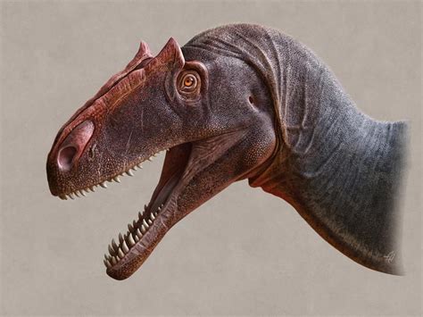 Newly Described Meat Eating Dinosaur Dominated During The