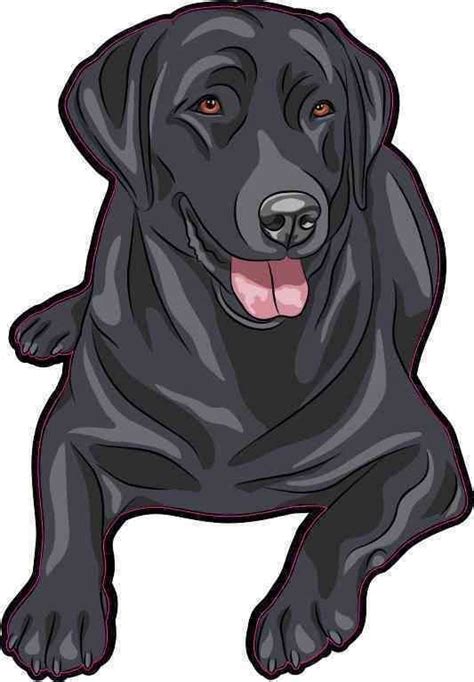 35in X 5in Black Labrador Retriever Sticker Stickertalk