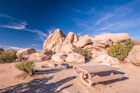 Photos Of Ryan Campground Joshua Tree National Park