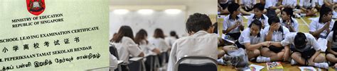 If a student scores the maximum plse score and still has to be subjected to computerised balloting, won't this 'leaving to chance' scenario only create more uncertainty and if the psle papers become more challenging, it would have more to do with global trends than the new 2021 scoring system. PSLE New Scoring System & Achievement Levels (AL)