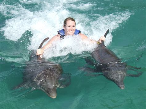 Dolphin Swim In Jamaica Favorite Places Visiting Places