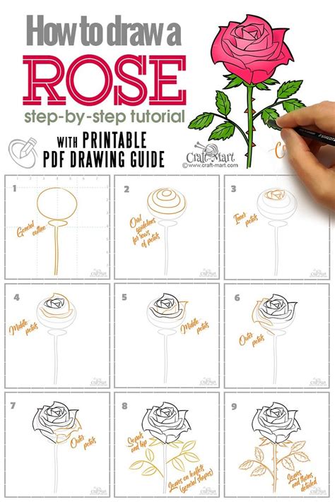 How To Draw A Rose Step By Step Guide For Beginners Flower Drawing