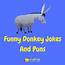 37 Hilarious Donkey Jokes And Puns  LaffGaff