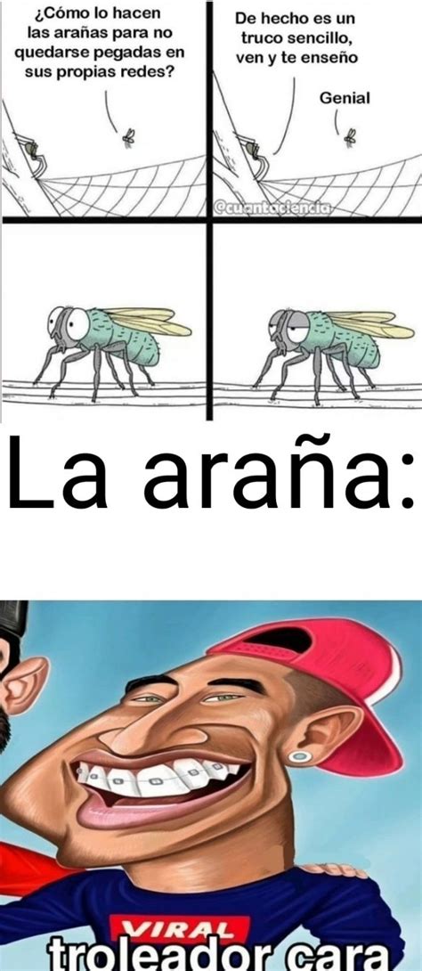 Top Memes De Insecto En Español Memedroid