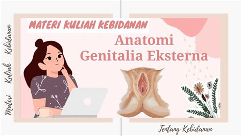 Kebidanan Anatomi Genitalia Eksterna Organ Reproduksi Wanita Midwifery Youtube