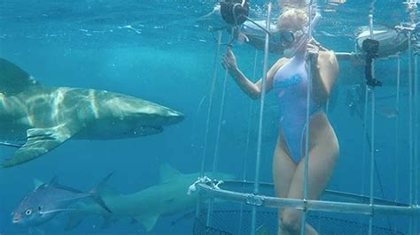 Una actriz porno fue mordida por un tiburón mientras filmaba una película erótica