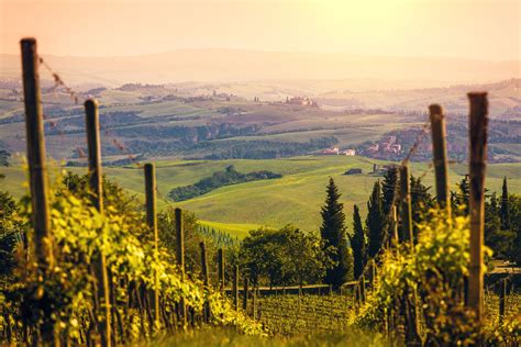 The 8 Best Montalcino Wine Tours Of 2019