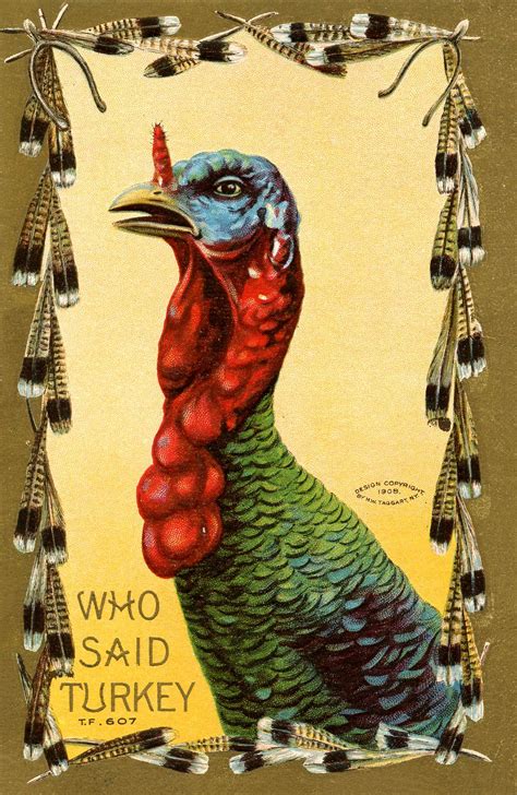 6 Thanksgiving Postcards With A Turkey Vintage Thanksgiving Cards