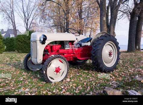 289 V8 Powered 1950ish Ford 8N Tractor DailyTurismo 49 OFF