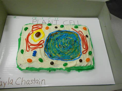 Center cooled cake on board and using sharp knife, cut off any hump to make your cake surface level. Mrs. McDonald's 4th Grade: Make a Cell Model Project