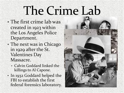 Wednesday August 23 2017 Discussion The Crime Lab Video Snippets