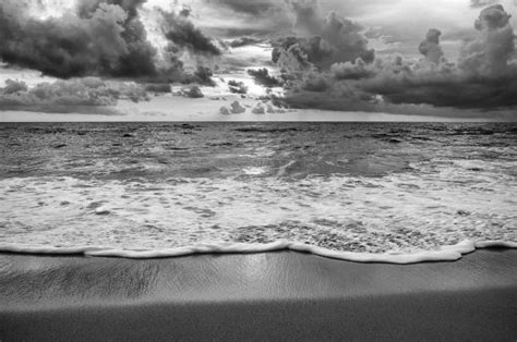 Black And White Beach Stock Photos Pictures And Royalty Free Images Istock