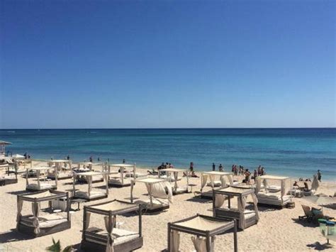 Playa Area Lounge Picture Of Mamitas Beach Club Playa Del Carmen