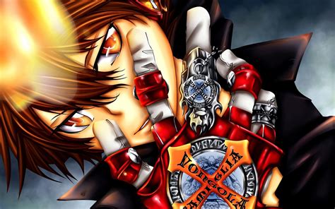 Free Download Katekyo Hitman Reborn Vongola Tsuna X Glove Flame Anime