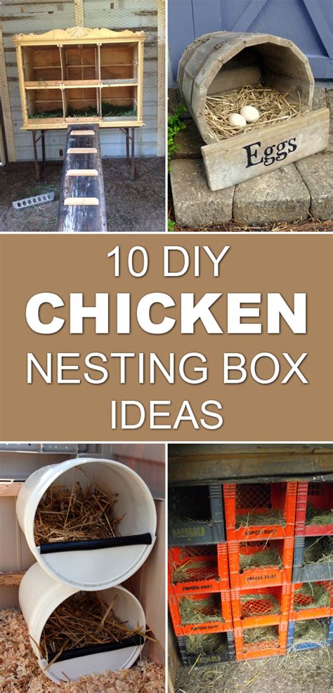 You might think that with so many chicken care books already on the market, there would be limited need for another, but janet will prove you wrong…. 10 DIY Chicken Nesting Box Ideas
