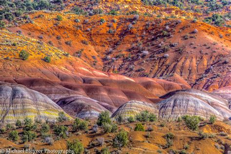 Facts About Arizona S Painted Desert That Will Amaze You