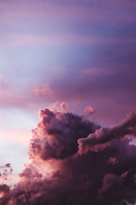 Birds Silhouettes Sky Clouds Twilight Hd Wallpaper Peakpx