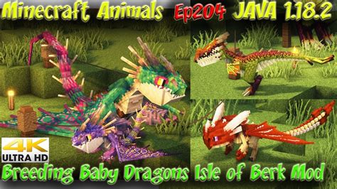 Isle Of Berk Dragon Mod Breeding Baby Dragons Showcase Minecraft