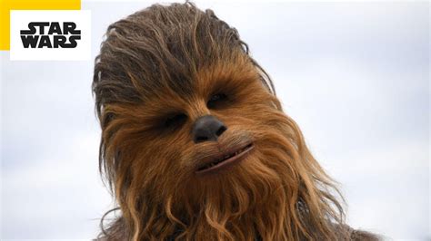 Star Wars Le Premier Wookiee Jedi En Live Action Sera Dans Cette Série News Séries Allociné