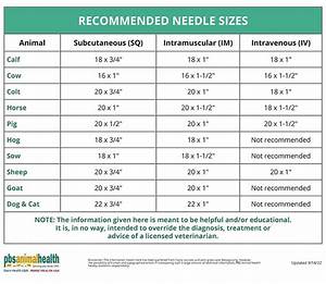 Needle And Syringe Combos