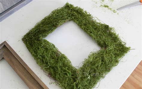 Instead of buying another boring frame. DIY Moss Photo Mat - The Crazy Craft Lady