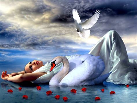 Fantasy Swan Wallpaper 1280x960 22386