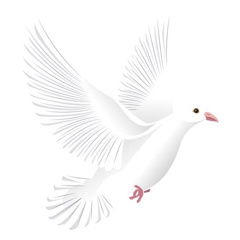 Flying White Pigeon Png Hd Png Mart