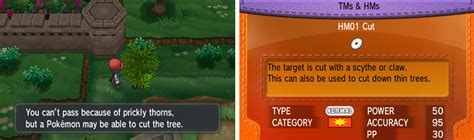 Exploration Tms And Hms Your Pokemon Journey Intro And Gameplay Pokémon X And Y Gamer Guides®
