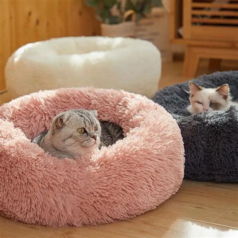 Comfortable Marshmallow Bed Our Pet For Life