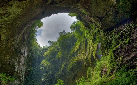 Nature Landscape Cave Forest Overcast Trees Wallpapers Hd