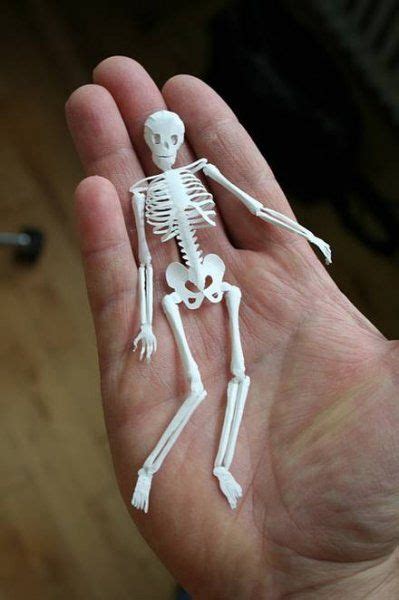 Paper Skeleton Made By Peter Callesen 3d Paper Art Paper Art 3d Paper