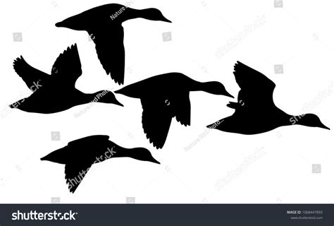 9235 Flying Duck Silhouettes Images Stock Photos And Vectors Shutterstock