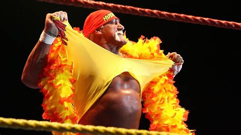 Hulk Hogan Wallpaper 73 Pictures