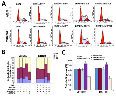 cellular proliferation analysis by fcm a flow cytometry images with download scientific