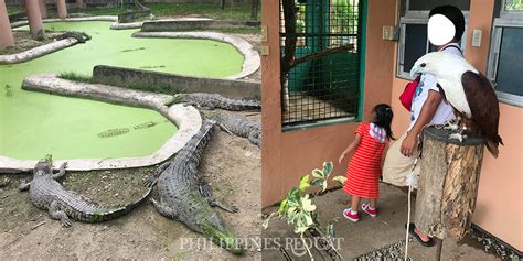 Davao Highlights Samal Eden And Eagle Philippines Redcat