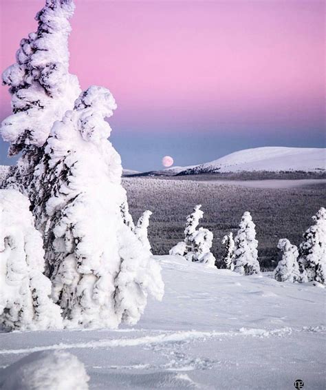 Winter Lake In Ylläs Lapland Finland Winter Images Winter Photos