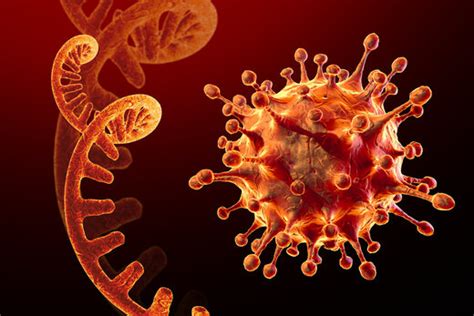 اومیکرون؛ سویه جدید ویروس کرونا در آفریقا