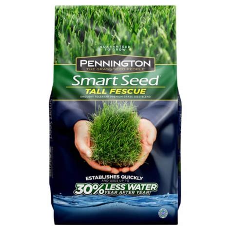 Pennington Seed Smart Seed Tall Fescue Sunshade Grass Seed 3 Lb