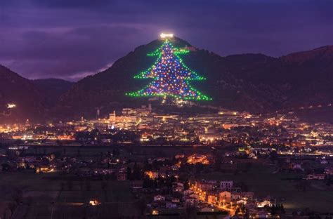 Jadi, untuk kamu yang ingin mengoleksi lebih banyak xmas tree (pohon natal), kamu bisa gunakan cara berikut ini. Ramah Lingkungan dan Terbuat Dari Pasir, Ini Dia 10 Pohon ...