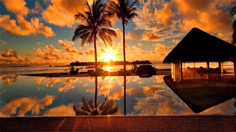 Sunrise in a tropical beach free vector. Tropical Sunrise HD desktop wallpaper : Widescreen : High ...