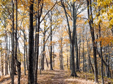 Traditional meditation cushions for sitting meditation including zafus, zabutons, our own cosmic cushion. Cold Weather Meditation for Mamas-To-Be - Yoga Mamas ...