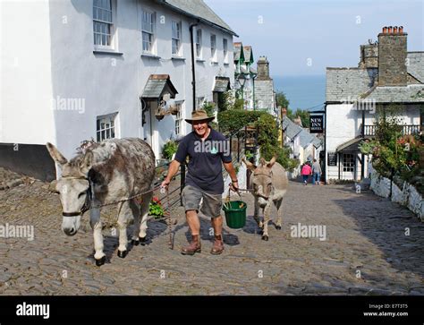 A Resident Of Clovelly In Devon Uk Uses Donkeys To Transport Stock