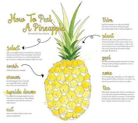How To Peel A Pineapple Edible Hawaiian Islands Magazine