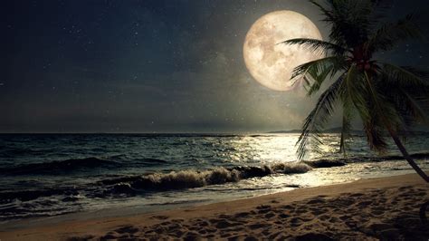 Download Wallpaper 1366x768 Beach Sand Nights Moon Palm Tree