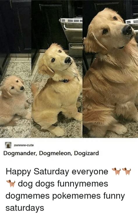 A Cute Dogmander Dogmeleon Dogizard Happy Saturday