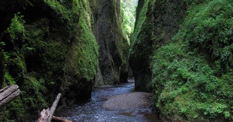Backyard Excursions Oneonta Gorge The Zion Narrows Of