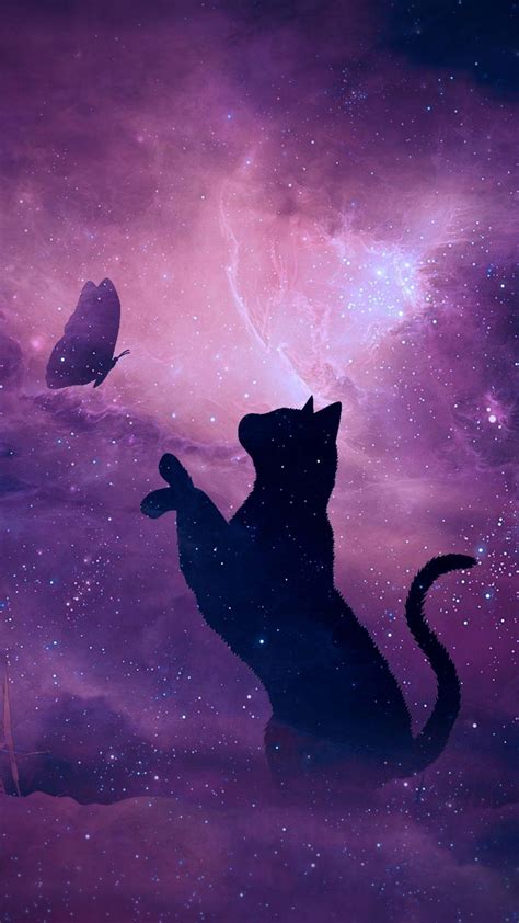 cool galaxy cat wallpapers top free cool galaxy cat backgrounds wallpaperaccess
