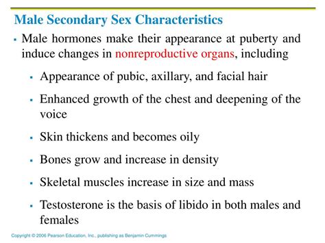 ppt reproductive system powerpoint presentation free download id 4280090