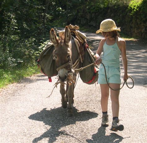 An der uni führst du ein leben voller deadlines und fristen. Tierische Reiseangebote: Durch Frankreich wandern mit Kind ...